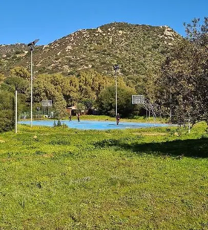 Panoramica Tra Suggestive Notti Stellate. *